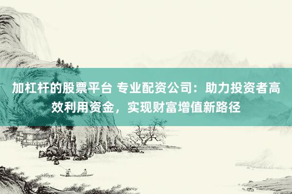 加杠杆的股票平台 专业配资公司：助力投资者高效利用资金，实现财富增值新路径