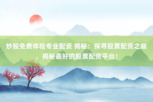 炒股免费体验专业配资 揭秘：探寻股票配资之巅，揭秘最好的股票配资平台！