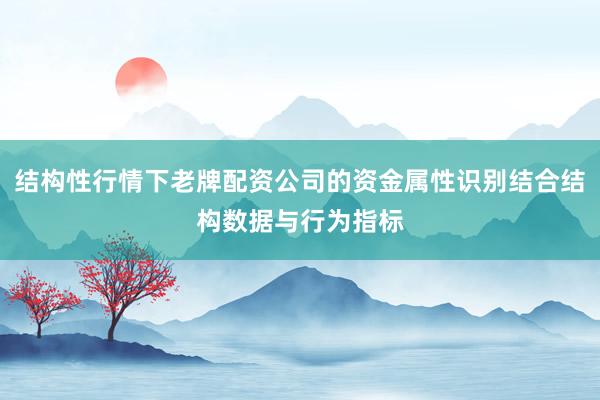 结构性行情下老牌配资公司的资金属性识别结合结构数据与行为指标