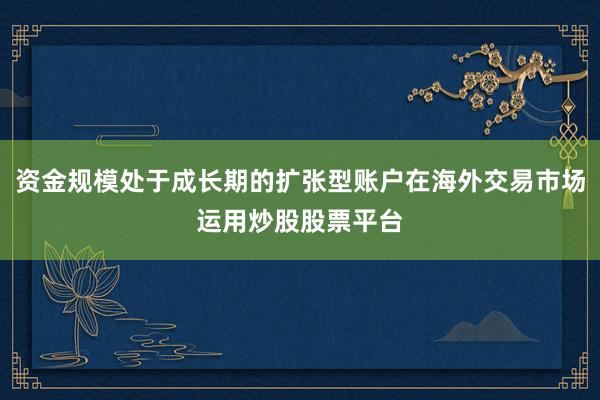 资金规模处于成长期的扩张型账户在海外交易市场运用炒股股票平台