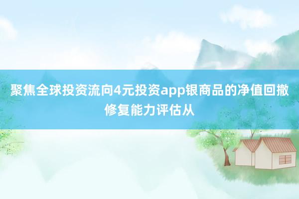 聚焦全球投资流向4元投资app银商品的净值回撤修复能力评估从