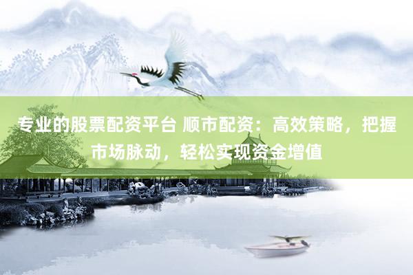 专业的股票配资平台 顺市配资：高效策略，把握市场脉动，轻松实现资金增值