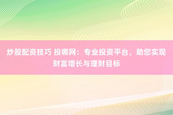 炒股配资技巧 投哪网:专业投资平台,助您实现财富增长与理财目标