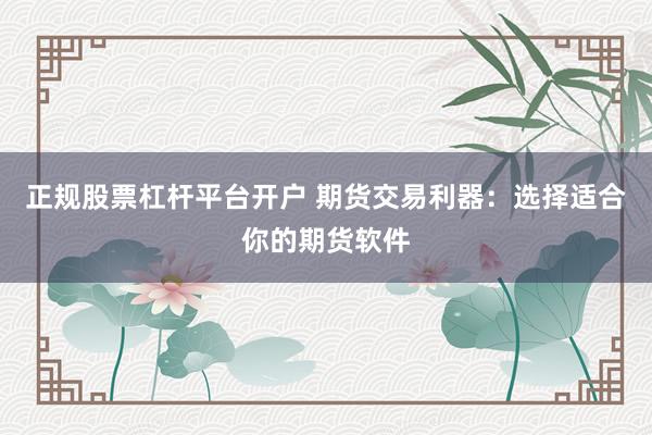 正规股票杠杆平台开户 期货交易利器：选择适合你的期货软件