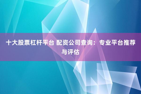 十大股票杠杆平台 配资公司查询：专业平台推荐与评估